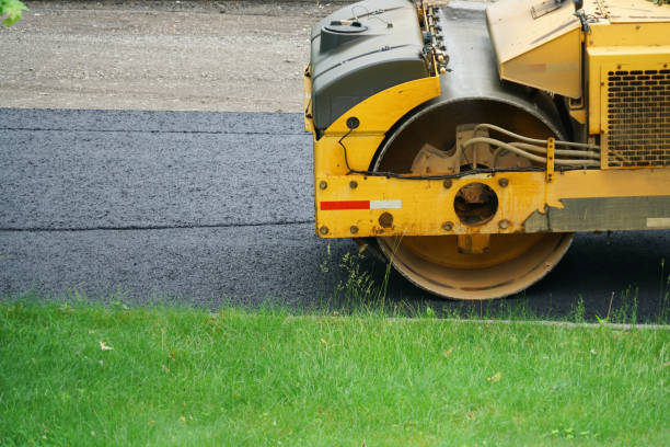 Best Local Driveway Pavers  in Palmer, TX
